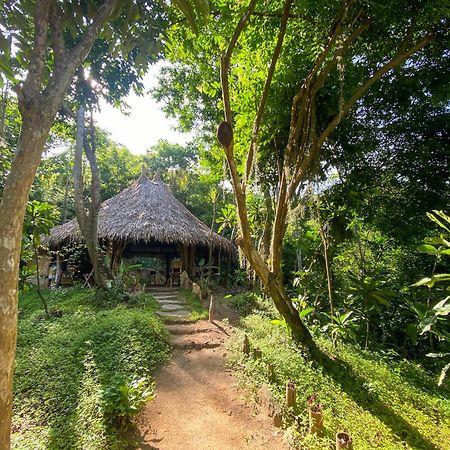 Hostal Paraiso Tayrona Kogui Los Naranjos Luaran gambar